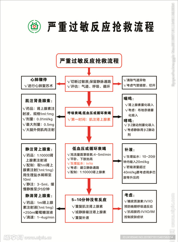 严重过敏反应抢救