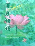 夏日物语海报