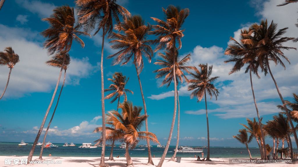 海边风景蓝天白云椰子树热带