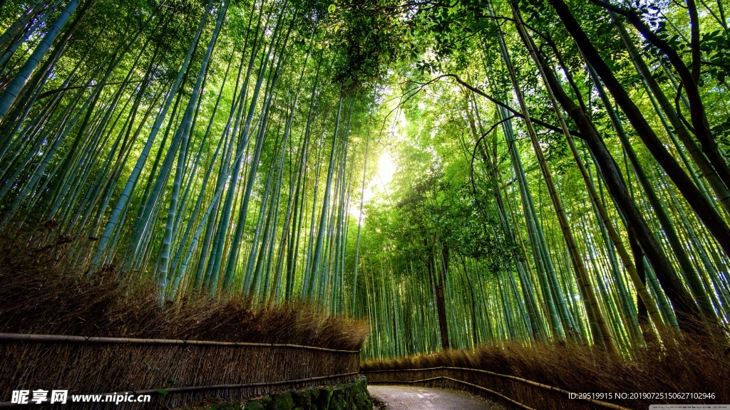 竹林