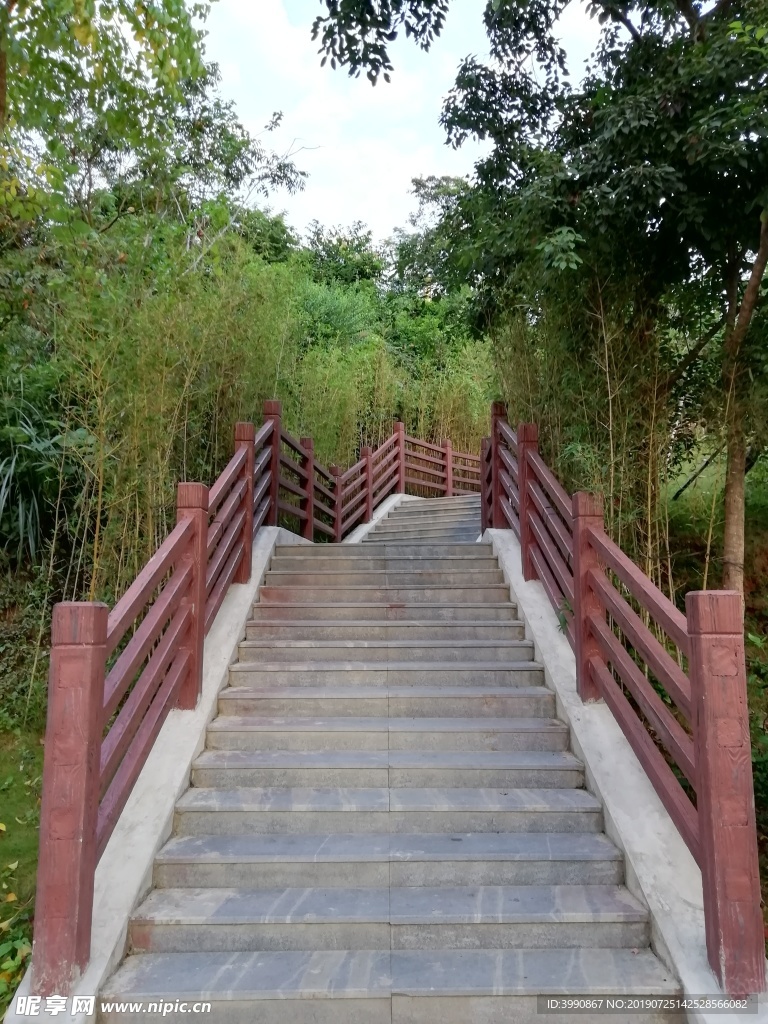公園小道