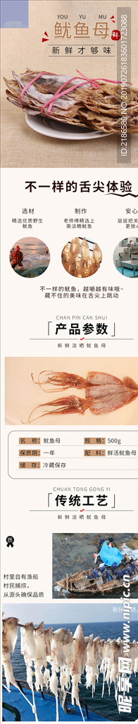 鱿鱼母海鲜产品干货海鲜详情页