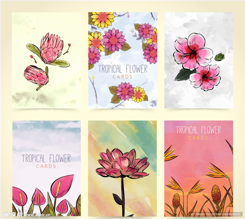 手绘热带花卉卡片