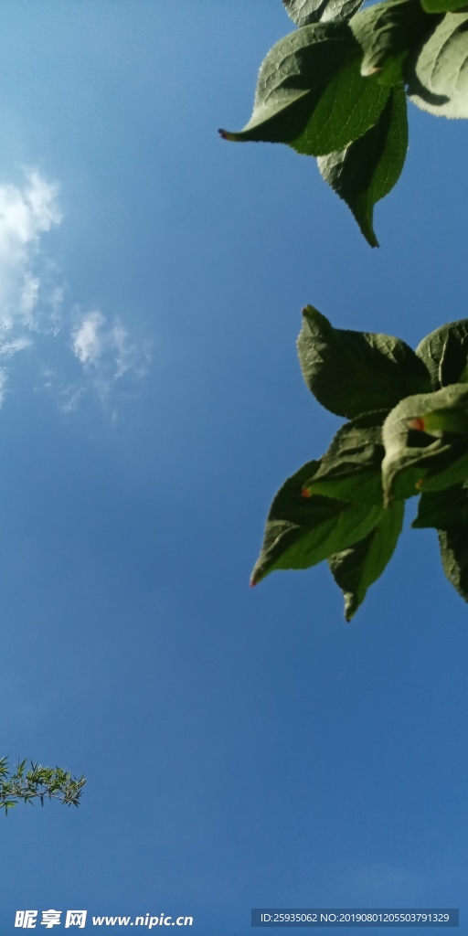 藍天白云照片 手機拍攝