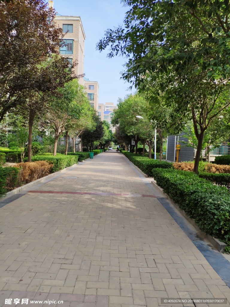 小區(qū)街道