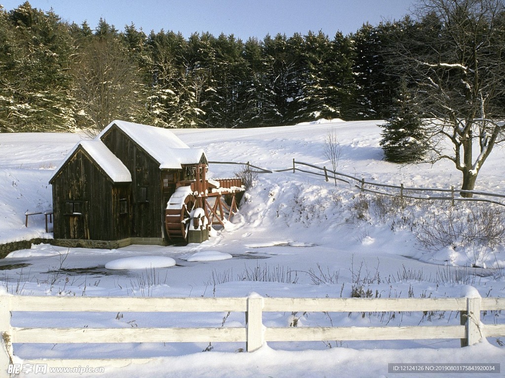 下雪 白色 雪景 雪地 树 景