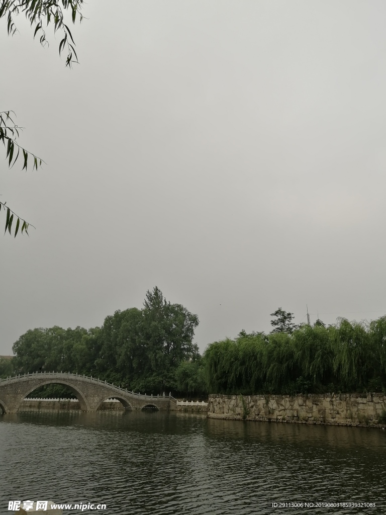 公園綠植