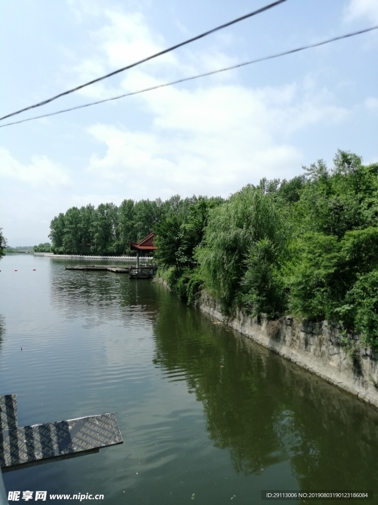 公園綠植