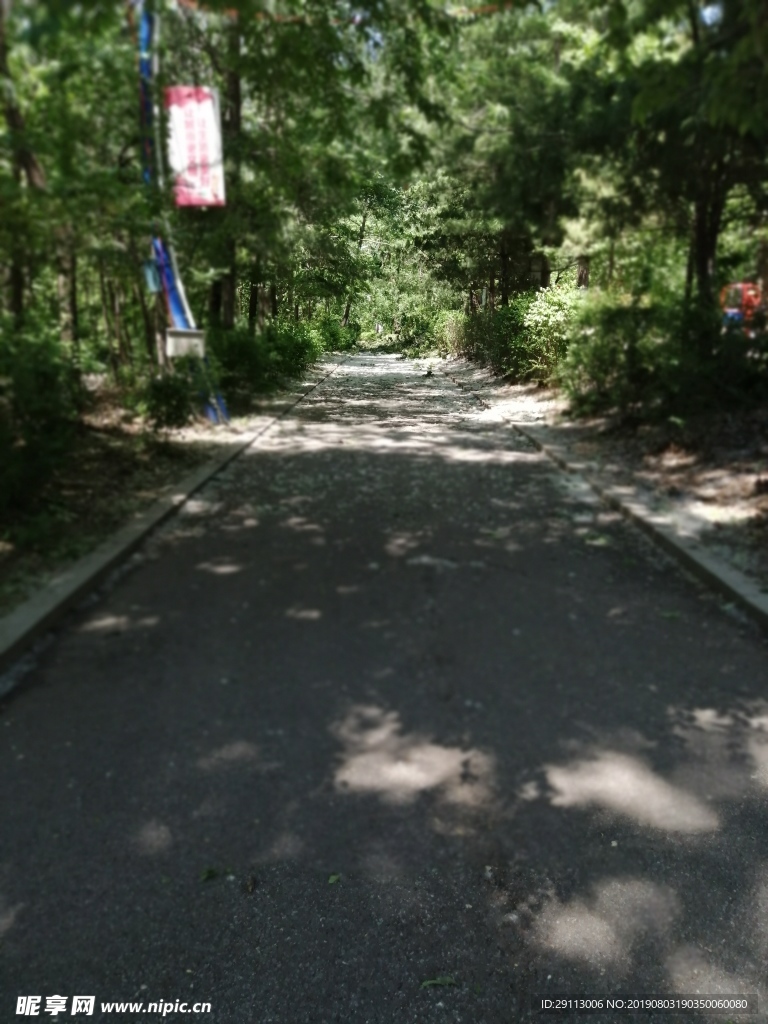 公園綠植