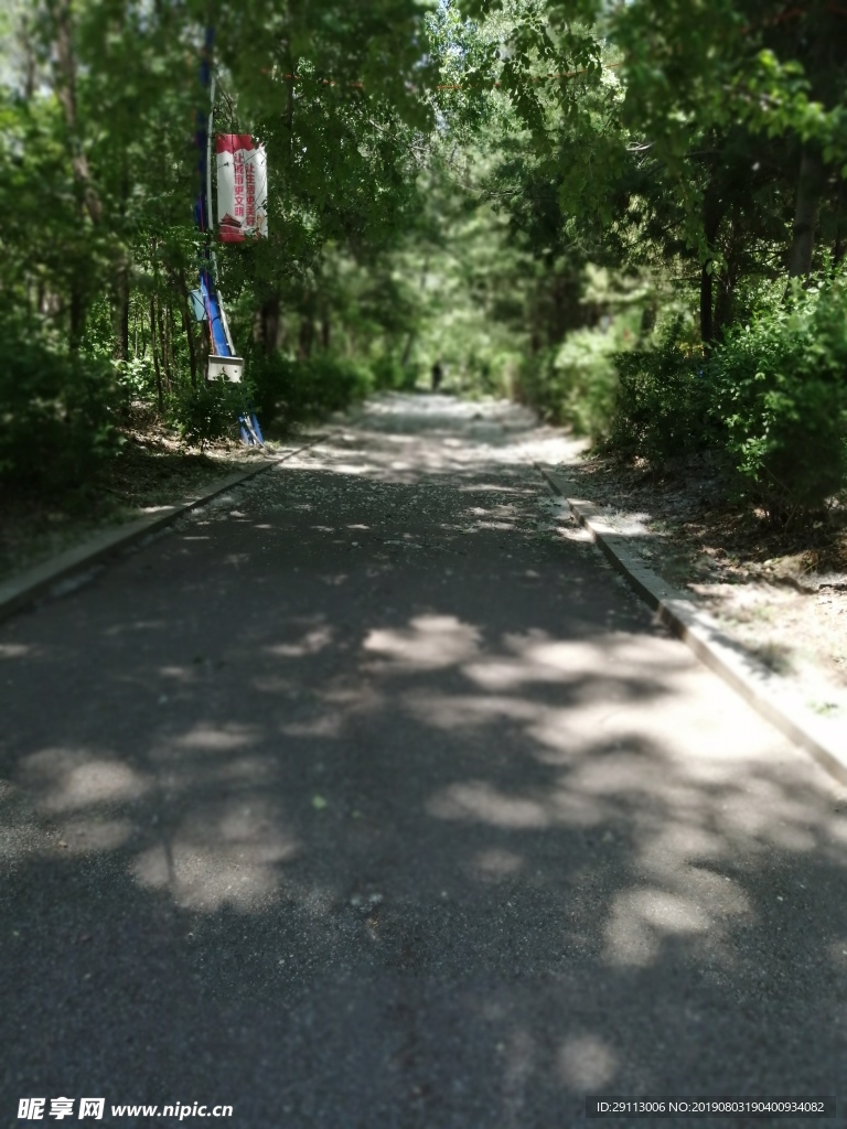 公園綠植
