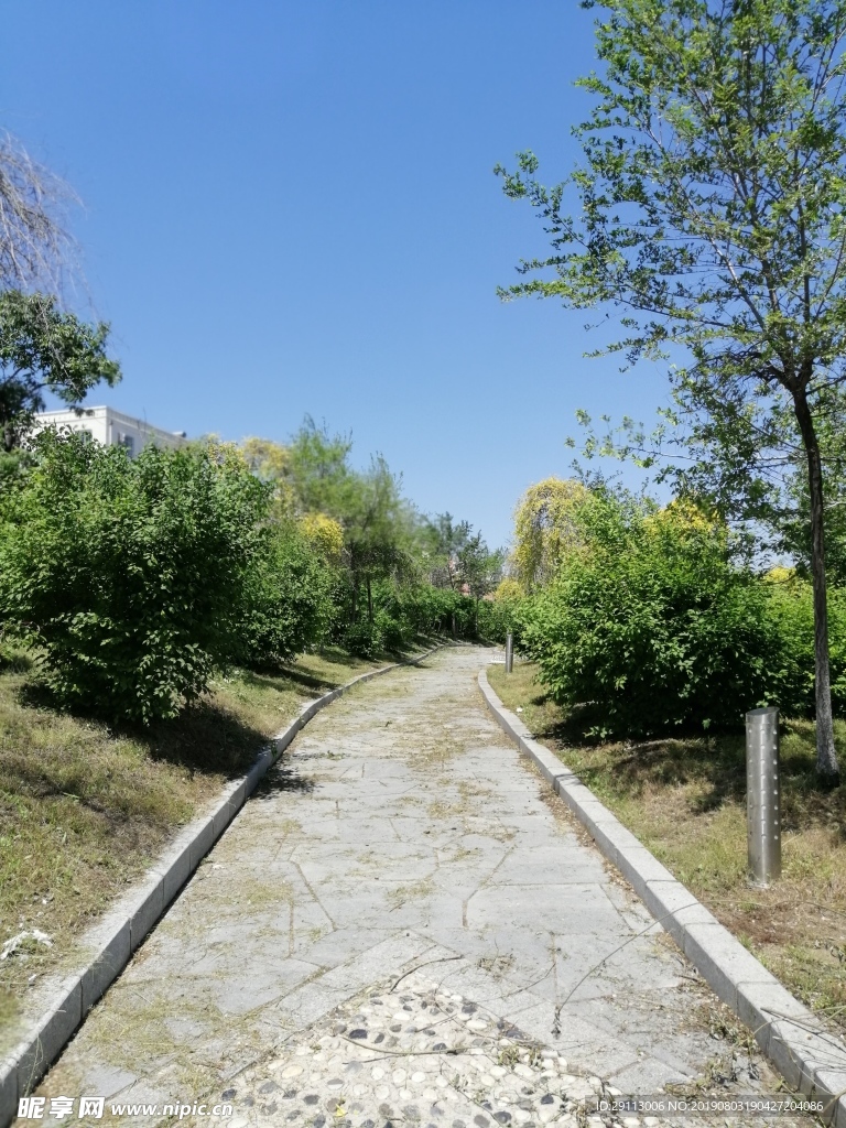 公園綠植