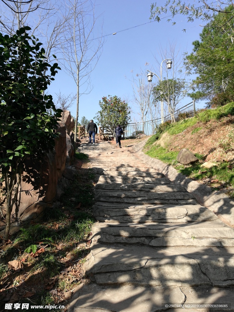 路口