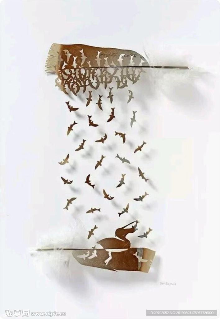 羽毛雕刻