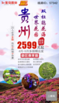 贵州 杜鹃节 黄果树瀑布 海报