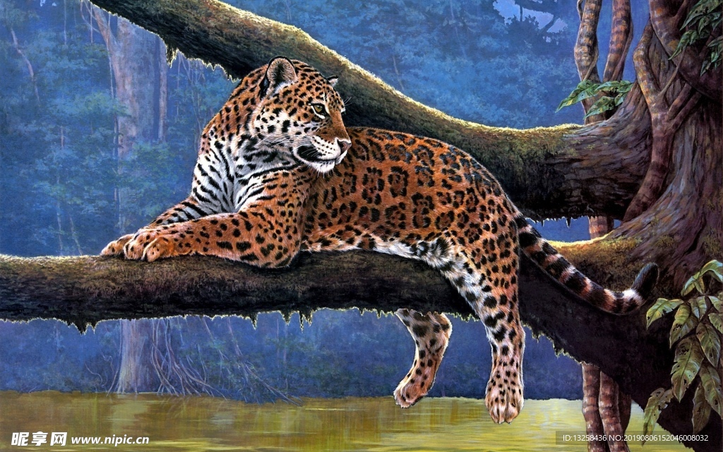 獵豹動物插畫背景