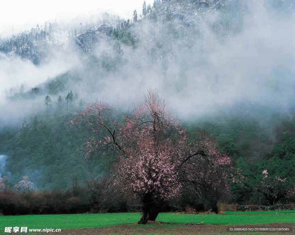 山林 大山 樹林 郊區(qū) 藍天