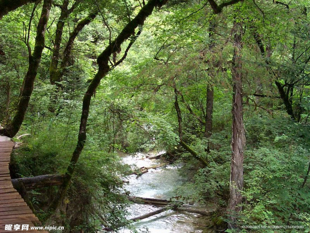 山林 大山 樹林 郊區(qū) 藍(lán)天