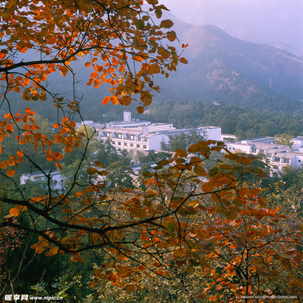 山林 大山  樹林 郊區(qū)