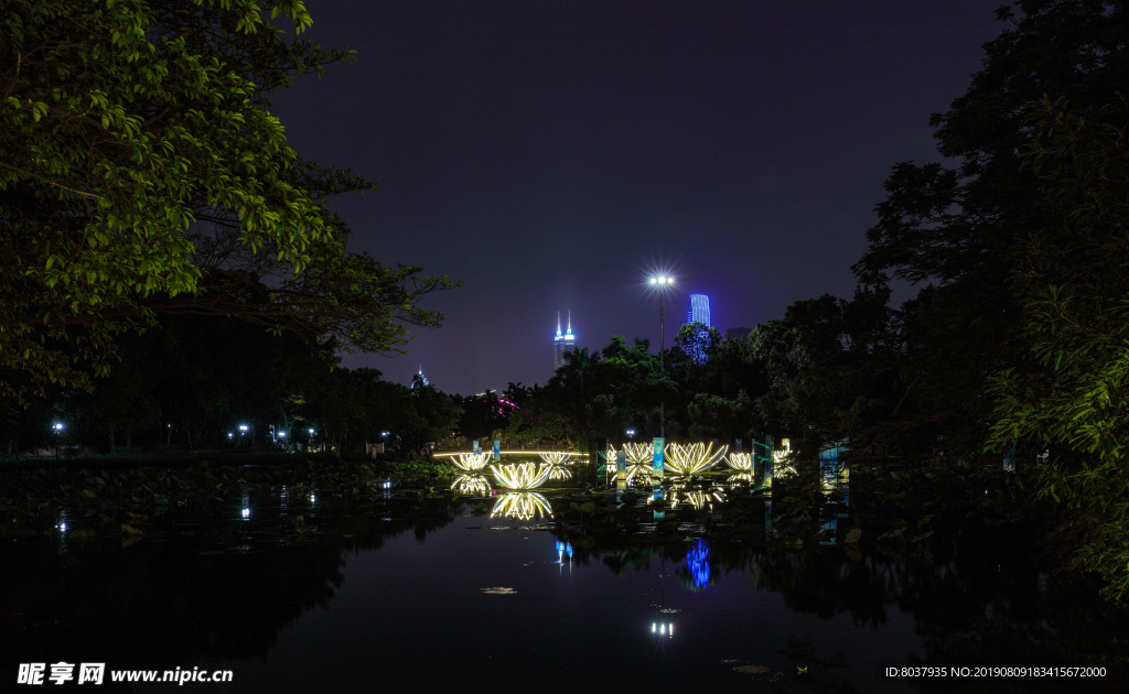 深圳洪湖公园夜景