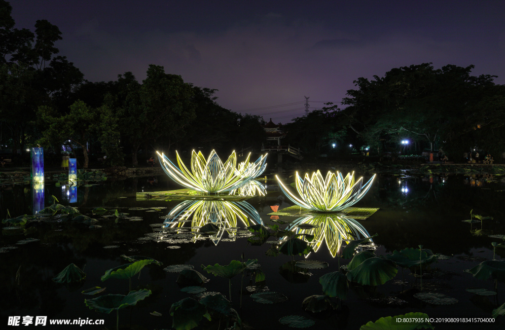 深圳洪湖公园夜景