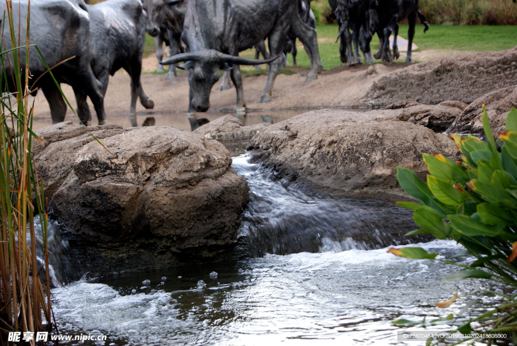 从河里喝水的公牛的古铜色雕象
