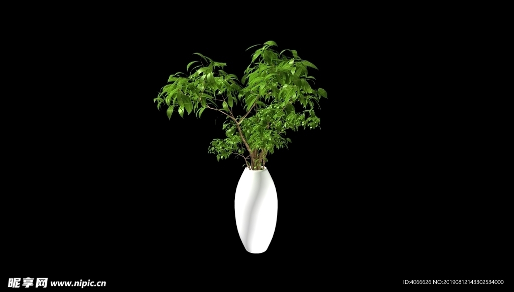 花瓶植物3d模型