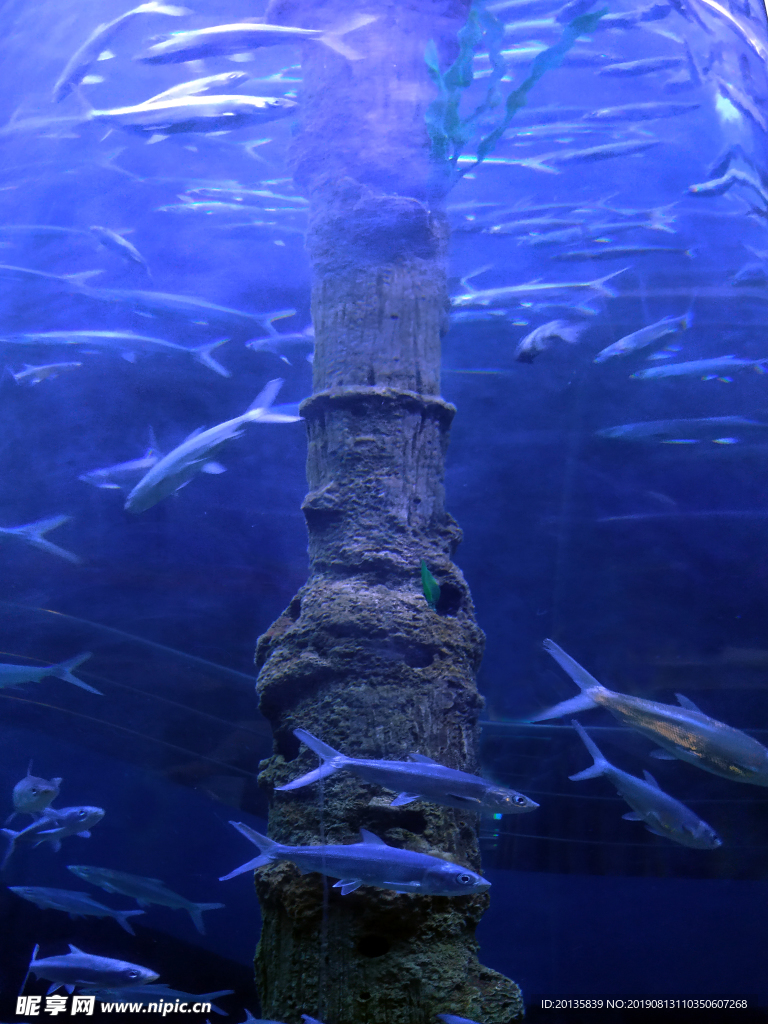 水族館