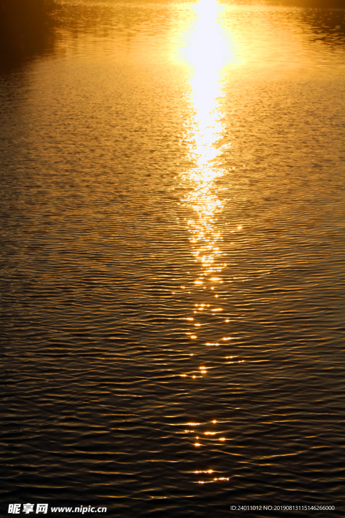 阳光洒在湖面上