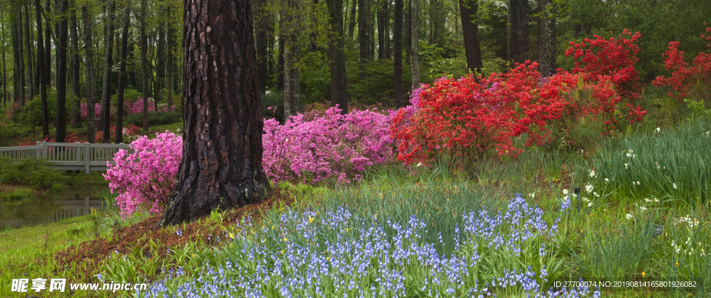 公園樹林花朵小橋