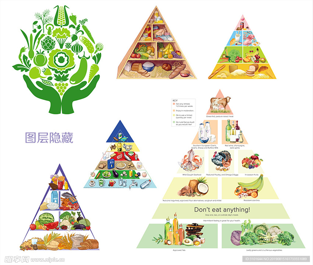 健康膳食金字塔素材