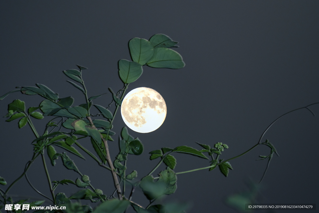 月夜圖