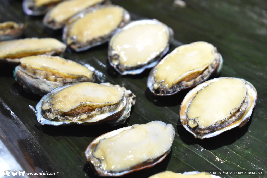 小鲍鱼 海鲜自助 美食