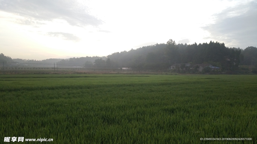 早晨