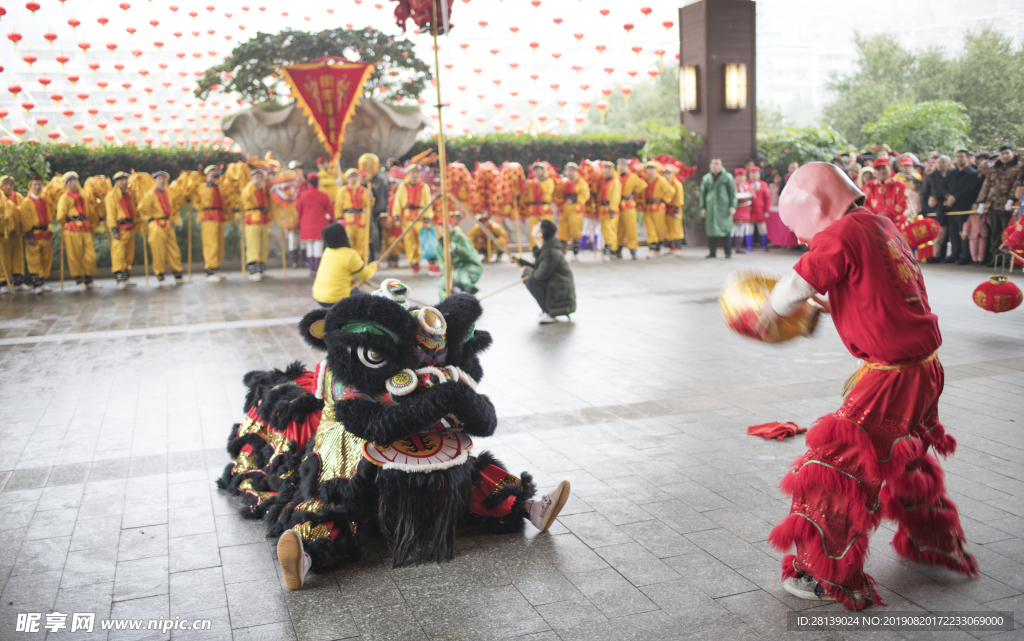 狮子 龙 节日 舞龙灯 喜庆