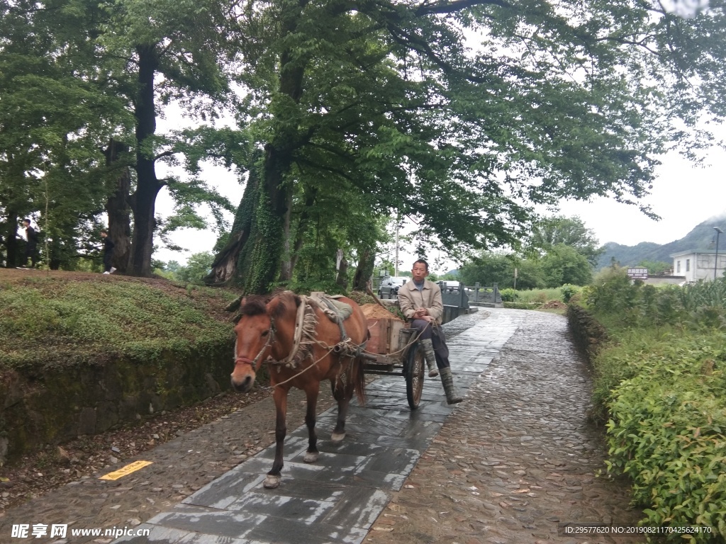 馬車