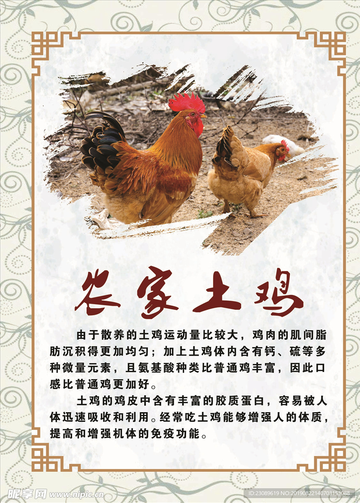 農家土雞