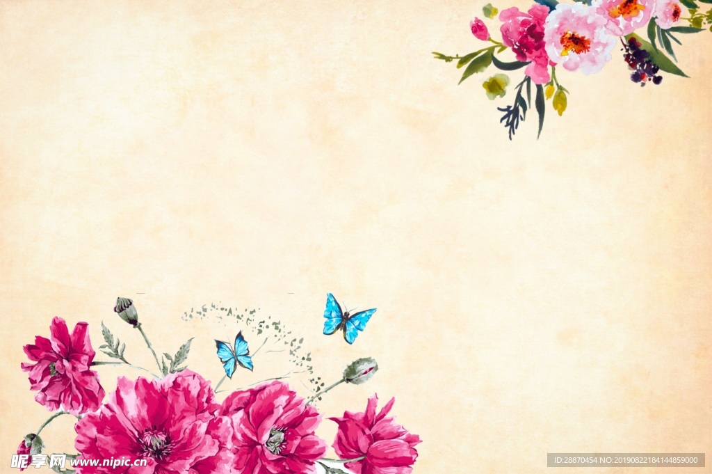 花和蝴蝶背景奶油色颜色