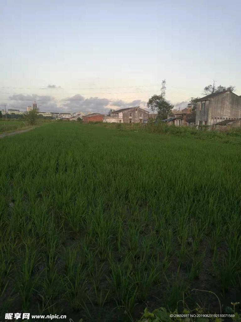 鄉村小屋