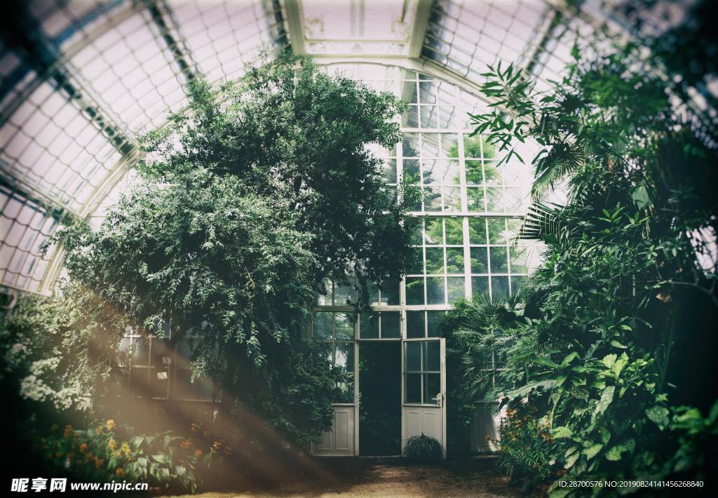 植物園林