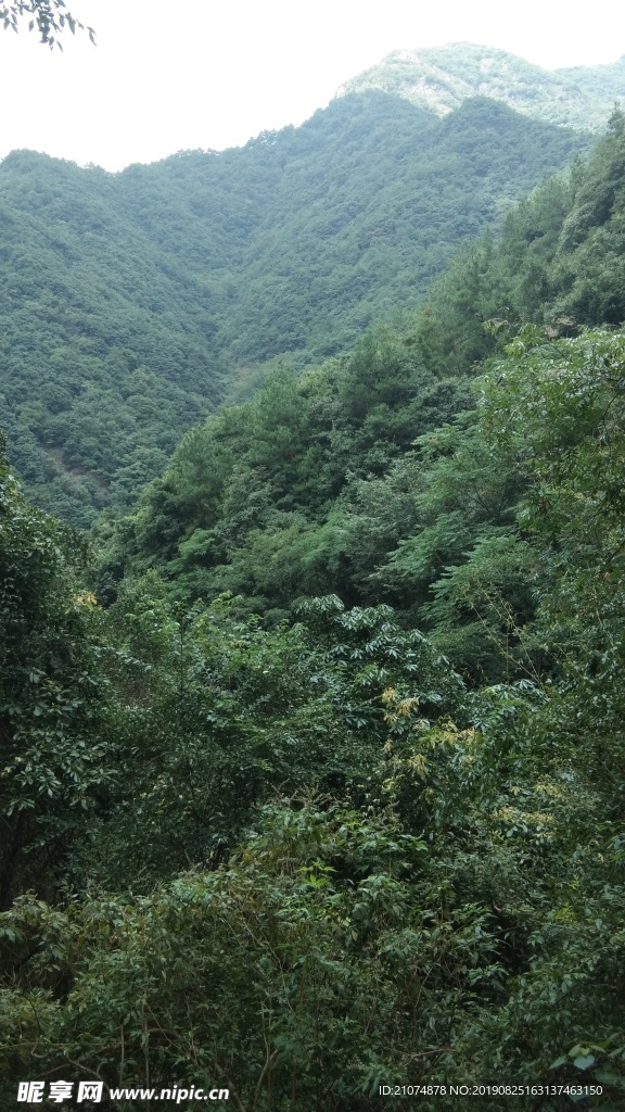 風景  自然景觀