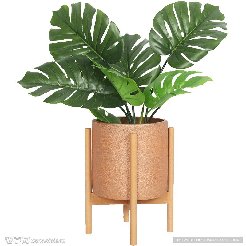 綠植  綠植裝飾