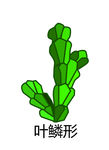 葉鱗形