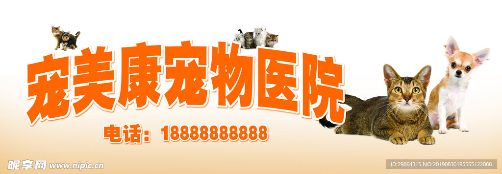 寵物  動物  小寵物