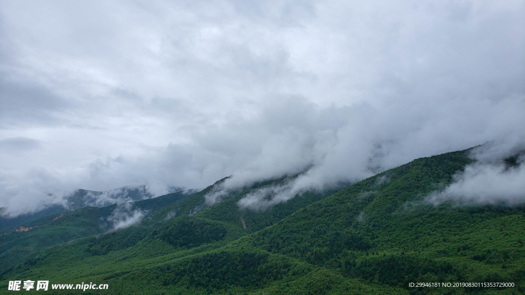 云霧青山