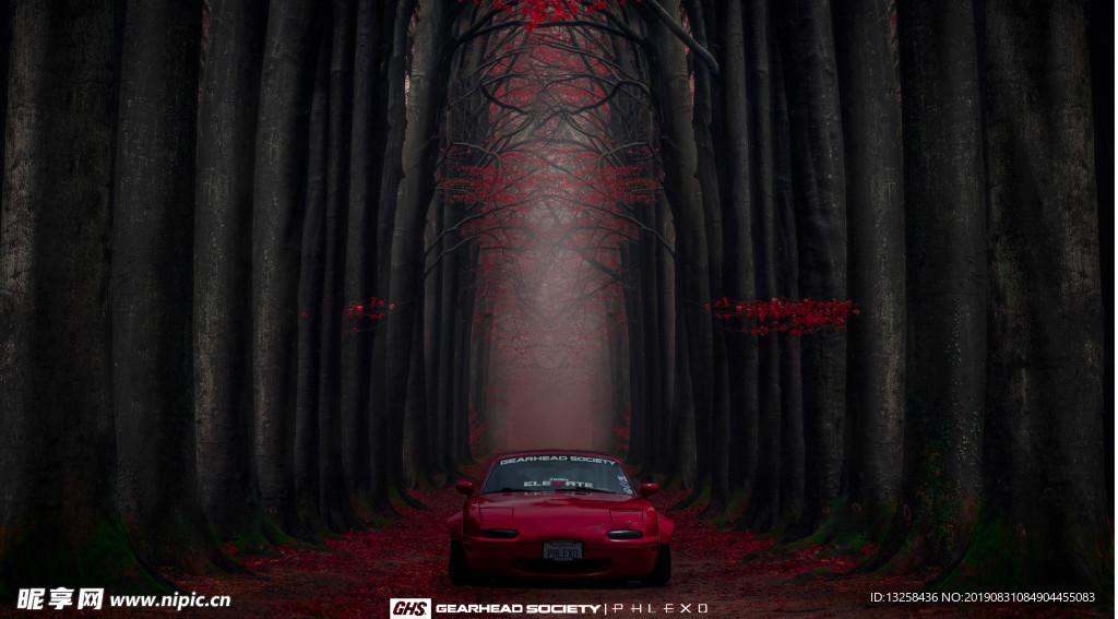 紅色汽車森林