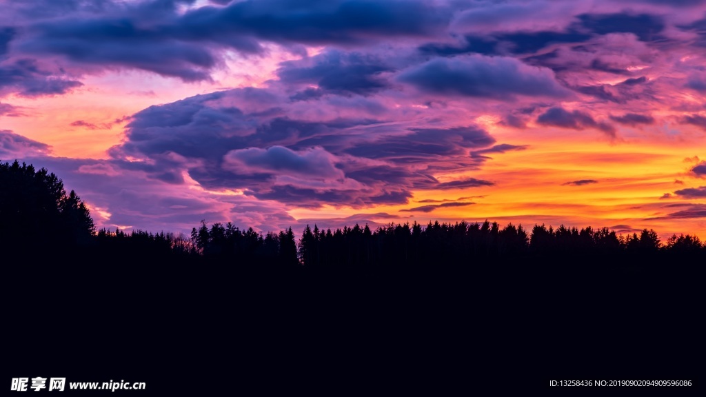 夕陽彩霞森林風景