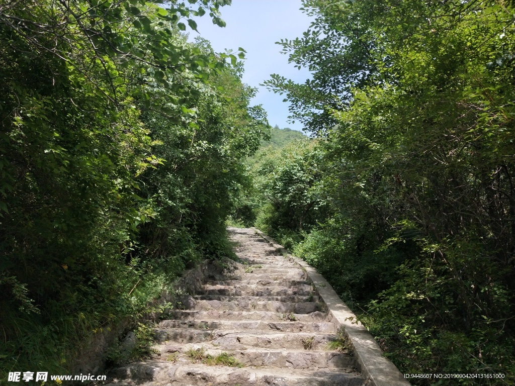 山間小路