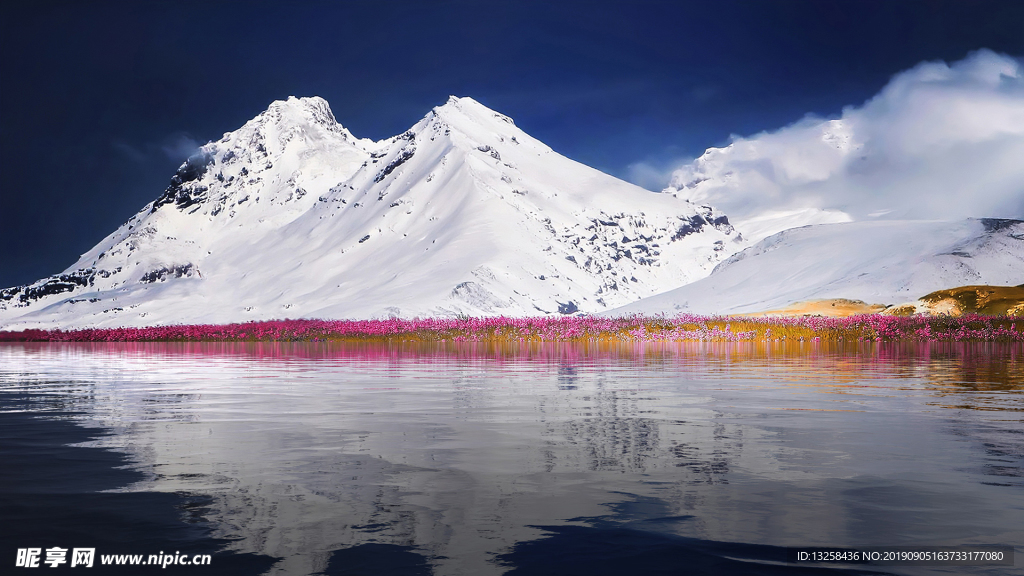 雪山花叢草地風(fēng)景天空