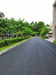 學(xué)校的路