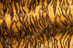 精美豹纹皮草材质背景高清图片